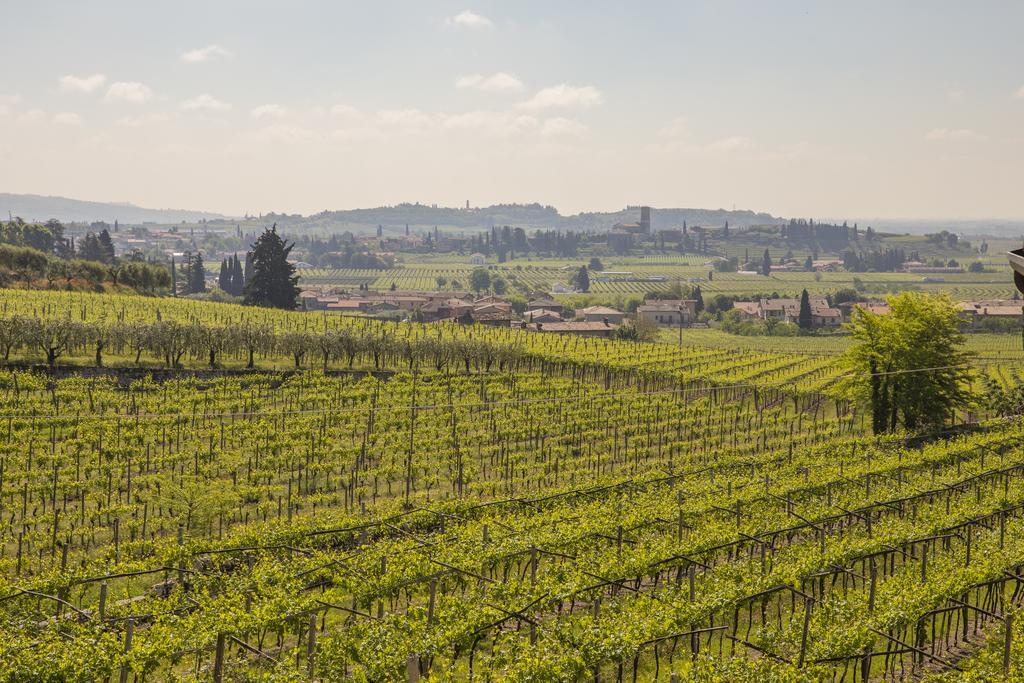 Corte Formigar SantʼAmbrogio di Valpolicella エクステリア 写真